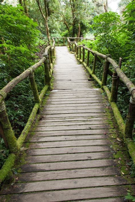 Wood Bridge Containing Bridge Forest And Wooden Nature Stock Photos