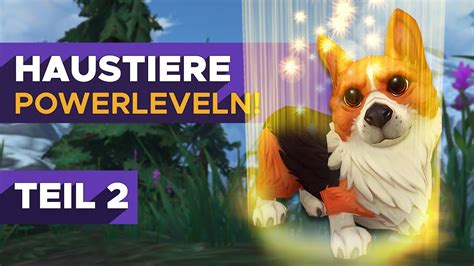 Check spelling or type a new query. Haustiere POWERLEVELN 🐾 mit Legion Weltquests | BFA UPDATE | Teil 2/2 - Haustierkampf Guide ...