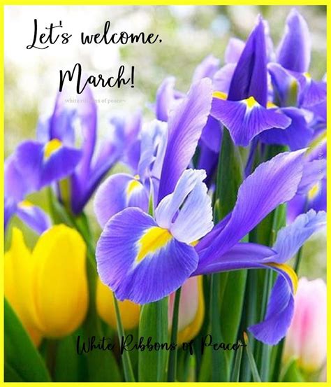 Lets Welcome March Pictures Photos And Images For Facebook Tumblr