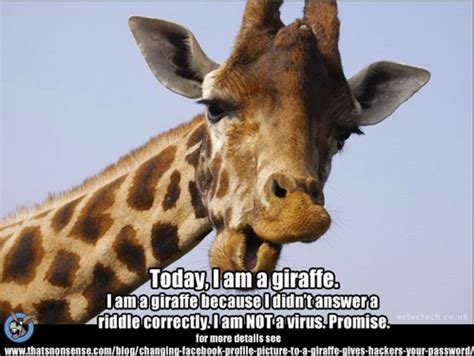 Giraffe Riddle Isnt An Anonymous Hack