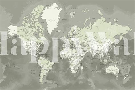 Detailed World Map Faolan Tapet Fototapet Happywall