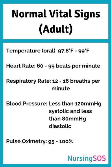 Normal Vital Signs Adult Nursing Babe Of Success