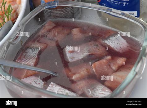 Anchovies In Pickling Liquid Stock Photo Alamy