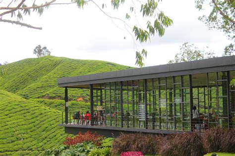 Casa de la rosa hotel cameron highlands is located in a prime location of cameron highlands, overlooking the nearby golf course or gardens. How to choose a tour in the Cameron Highlands Malaysia
