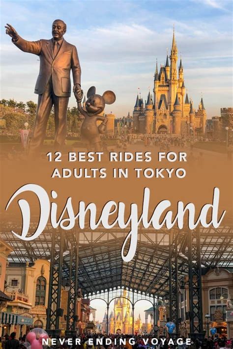 The Disneyland Theme Park With Text Overlay That Reads Best Rides For Adults In Tokyo Disneyland