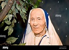 Mother Teresa Agnes Gonxha Bojaxhiu as a wax figure Wax museum of Stock ...