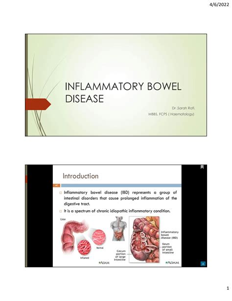 solution inflammatory bowel disease pathology part 1 brief professional with diagrams
