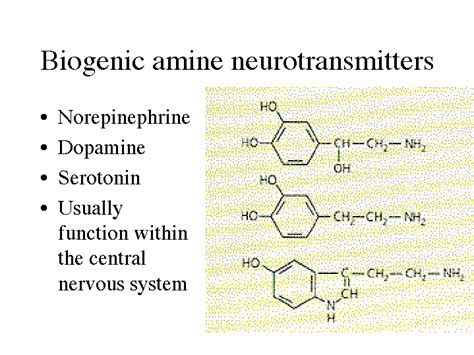 Older antidepressant medications include tricyclics, tetracyclics, and monoamine oxidase inhibitors (maois). Biogenic amine neurotransmitters