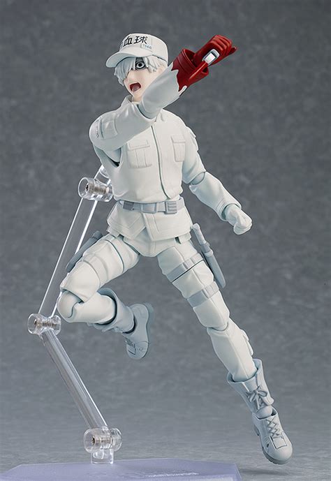 Cells At Work Figma White Blood Cell Neutrophil