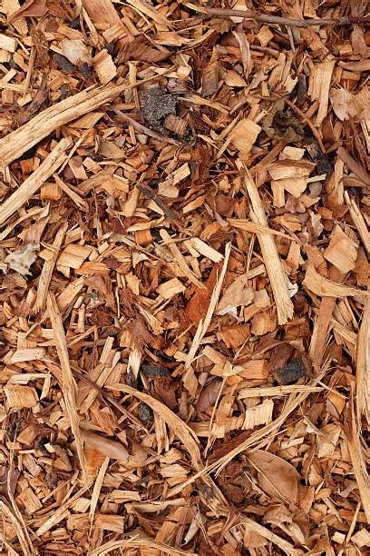120 Bark Chippings Stock Photos Pictures And Royalty Free Images Istock