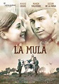 La mula (2013) | FilmTV.it