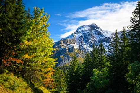 Wallpaper Alps Switzerland Gryon Autumn Nature Mountains Trees