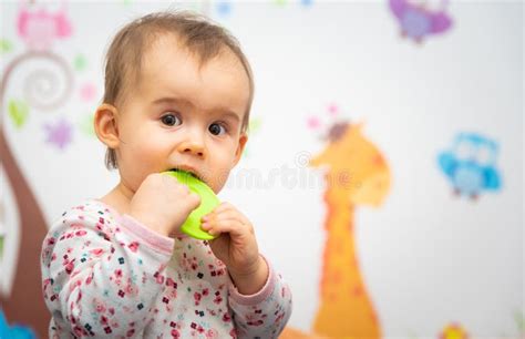 Sweet 1 Year Old Baby Girl Portrait With Rubber Chew Toy In Her Room
