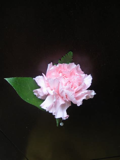 Buds Floral Design Carnation And Rose Wedding