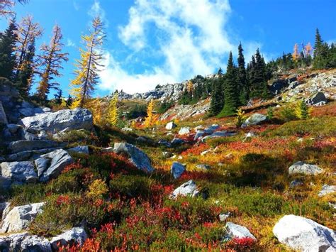 If You Can Only Hike 1 Washington Trail This Fall Youll Want To Make