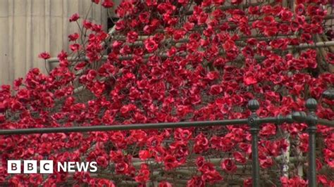 Remembrance Day Services Held Across Uk Bbc News