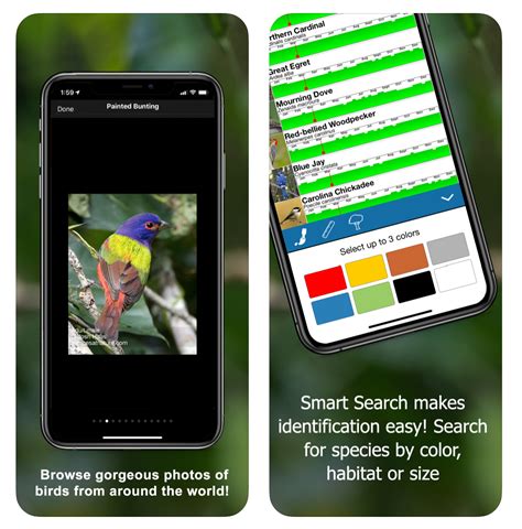 How To Use A Powerful Birdseye Feature Filters Birdseye Nature Apps