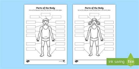 Body Parts Cut And Stick Worksheet Twinkl