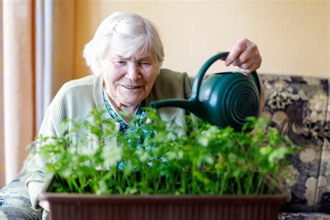 4 Benefits Of Performing Horticultural Therapy For Dementia Terra Vista