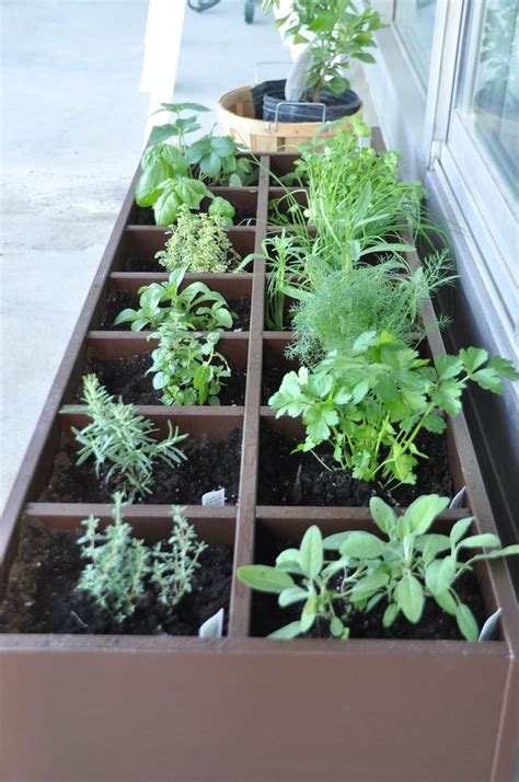 10 Patio Herb Garden Ideas Most Brilliant And Attractive Balcony
