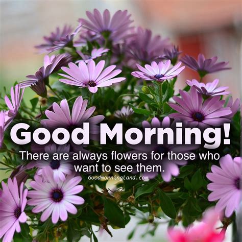Download Image Of Good Morning Flowers With Images Good Morning