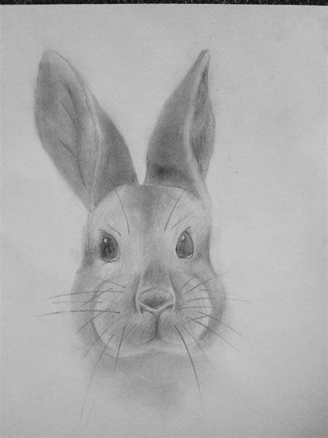 If you feel like it, give him clothes or a carrot to stick in his mouth. Bunny Face Drawing at PaintingValley.com | Explore ...