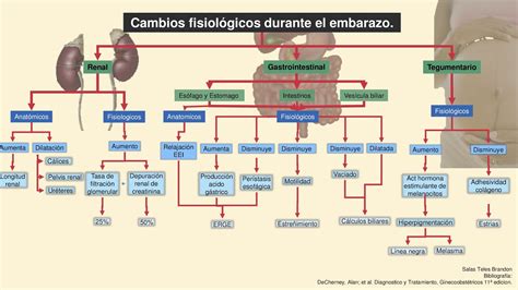 Blog De Evidencias De La Materia De GinecologÍa Y Obstetricia Cambios