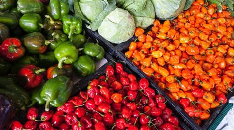 Jarang Diketahui Ini Manfaat Konsumsi Buah Dan Sayur Berdasarkan Warna