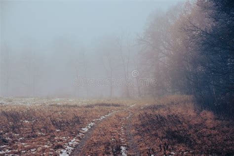 Field Road In Winter Foggy Trees In The Distance Stock Image Image
