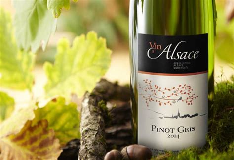 Pinot Blanc Regions Food Pairings Best Wines 2021