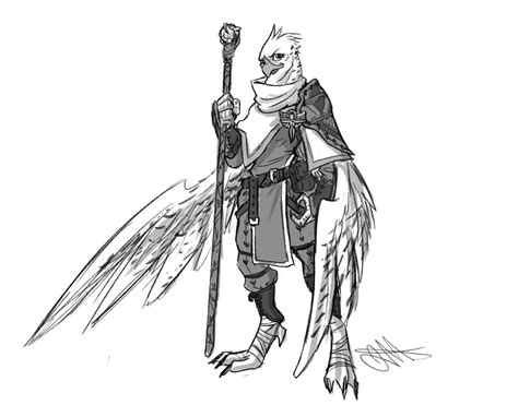 Commission Aarakocra Cleric By Skyserpent On Deviantart