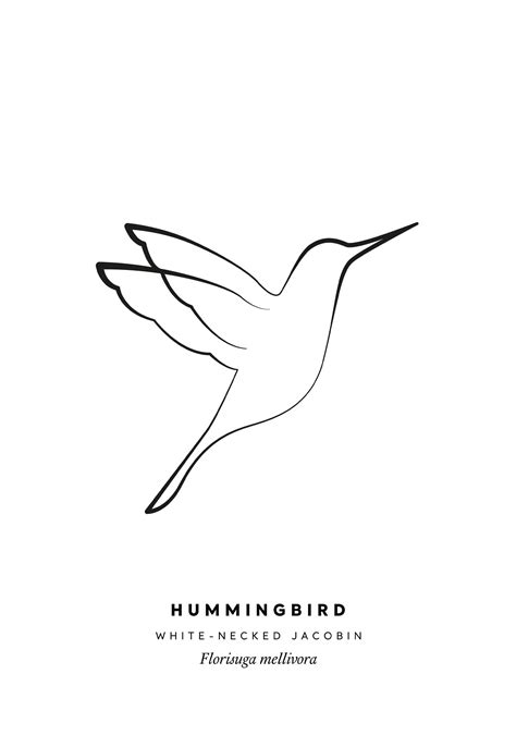 Hummingbird Printable Single Line Bird Drawing Wall Art Or Postcard
