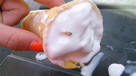 Mother Horrified After Finding A Maggot In Mcdonald S Ice Cream