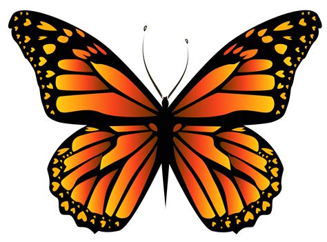 Orange Butterfly PNG Clipar Image | Butterfly clip art, Butterfly art png image