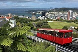 Que faire à Wellington – Nos incontournables : musée Te Papa...