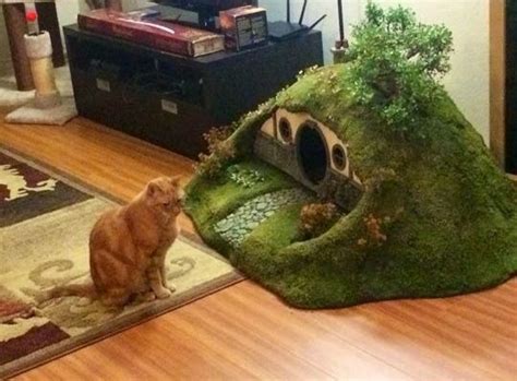 Cat Cat Cat The Hobbit Cool Cat Trees Hobbit House