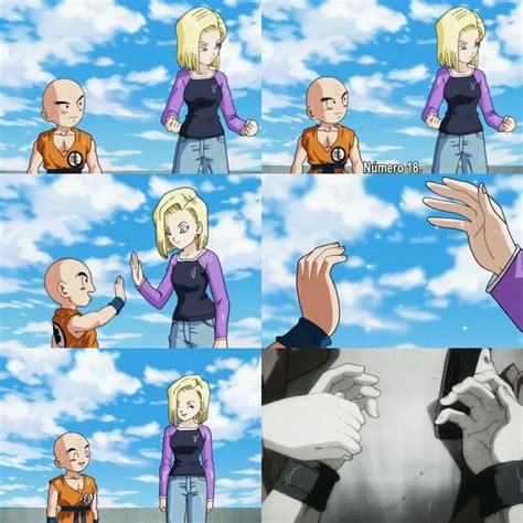 krillin and android 18 2021