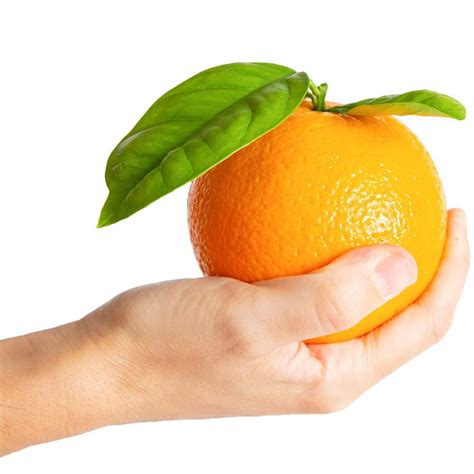 Orange Export From Pakistan Mandarin Orange Saremco International