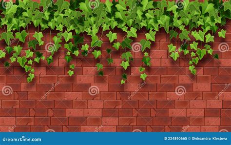 Ivy Plant Vector Background Red Brick House Wall Texture Climbing