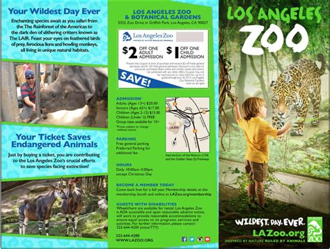 Los Angeles Zoo Brochure Creative Portfolio Rachel Yanovski