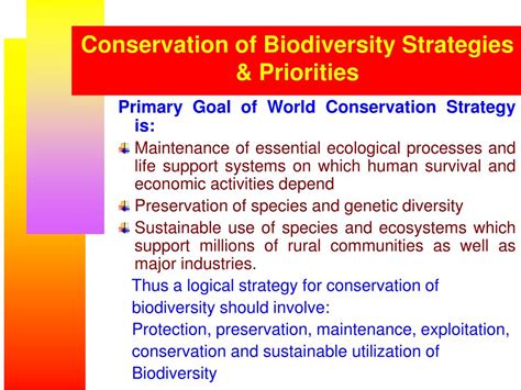 Ppt Evolution Of Biodiversity And Strategy For Its Conservation And