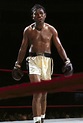 Sugar Ray Robinson | Sugar ray robinson, Robinson, Boxing history