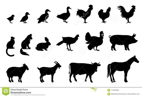 Silhouettes Of Domestic Birds And Animals Stock Vector Illustration