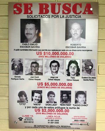 The cali cartel, which features heavily in the upcoming third series of narcos, earned a reputation as a fearsome crime gang after escobar's death. Cartel de Medellin - Εικόνα του Μουσείο Πάμπλο Εσκομπάρ ...