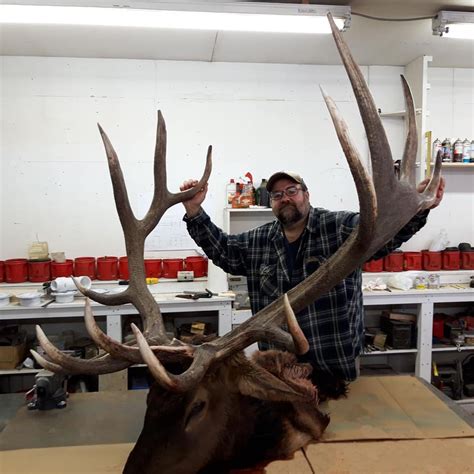 Montana Gives Up Another Monster Elk
