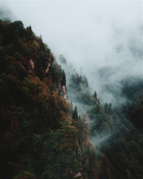 Lionandwreath Nature Destinations Foggy Morning Instagram