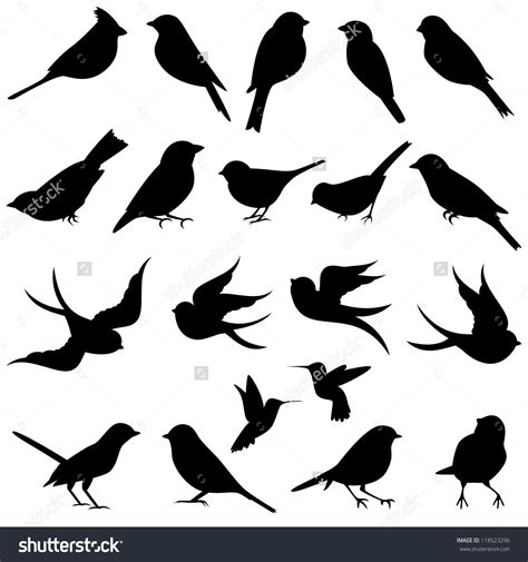 Vector Collection Of Bird Silhouettes 118523296 Shutterstock Art