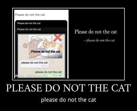 Please Do Not The Cat Scrolller