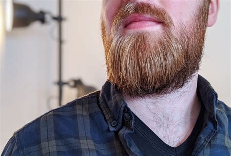 Übrings kann man auch selbst eine selbstauskunft einholen, diese ist alerdings kostenpflichtig. Bartpflege von A bis Z » So wird euer Bart perfekt