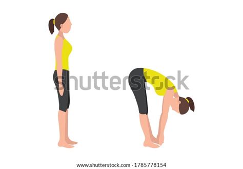 Woman Doing Toe Touch Stretches Poses Stock Vector Royalty Free 1785778154 Shutterstock